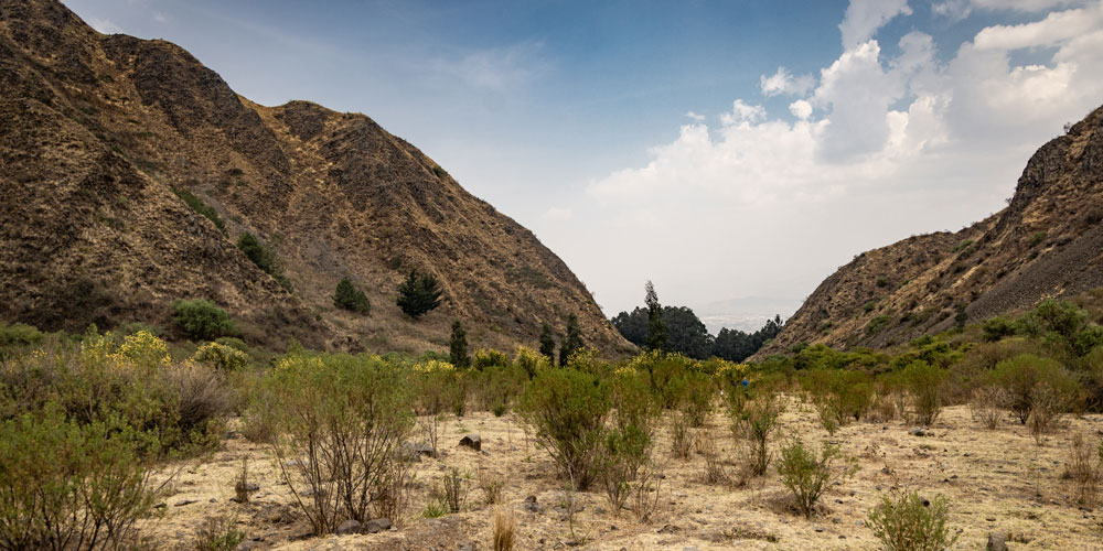 1.000 Bäume für Cochabamba