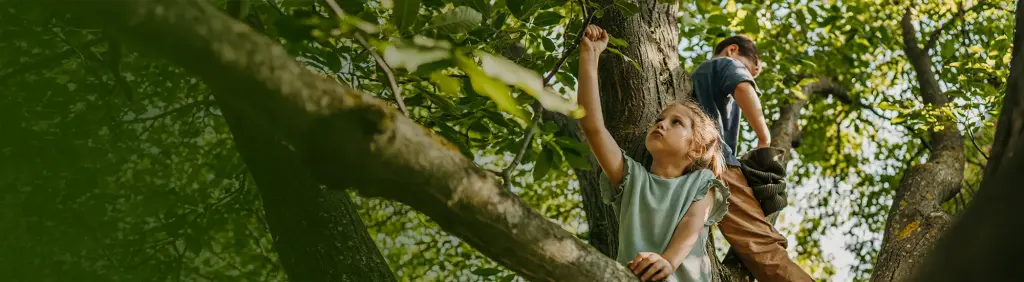 Kinder klettern auf einem Baum als Beispiel für alltägliche Risiken, die eine Kinderinvaliditätsversicherung absichert.
